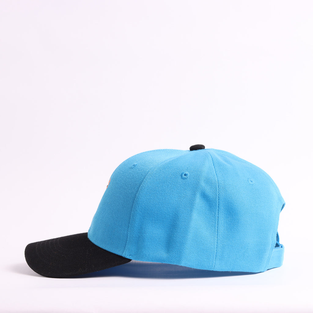 "Honk!" Duck Embroidered Baseball Cap