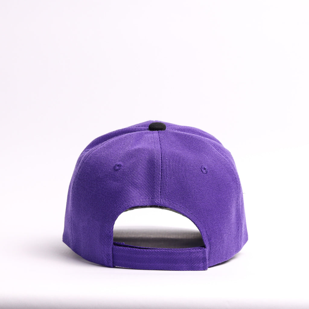 Purple & Black "Silly Goose" Baseball Cap
