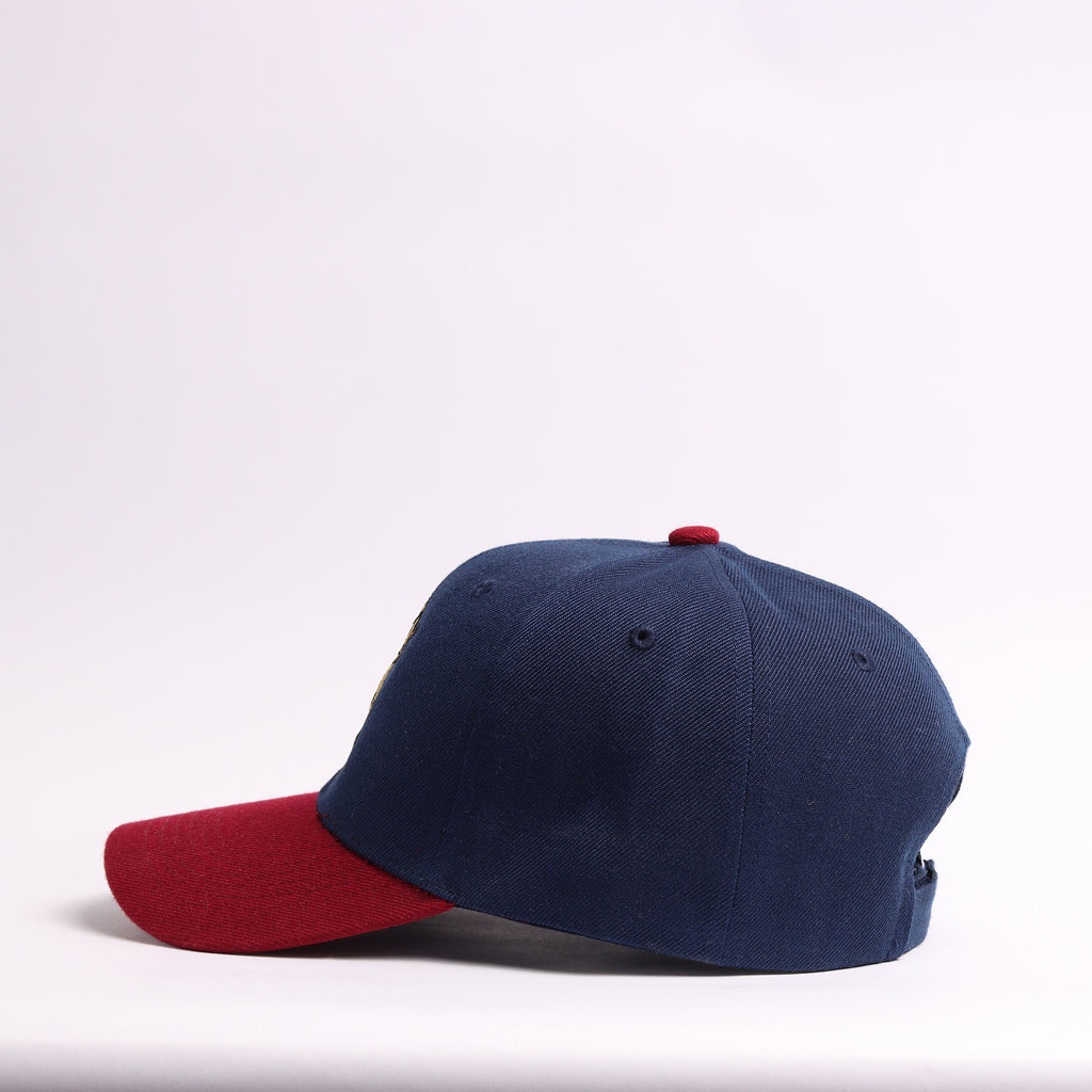 Navy & Maroon Golden Retriever Baseball Cap