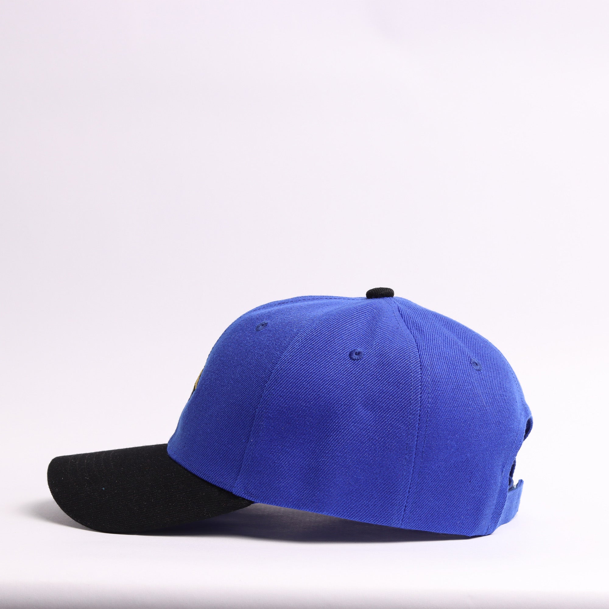 Golden Retriever Silhouette Cap