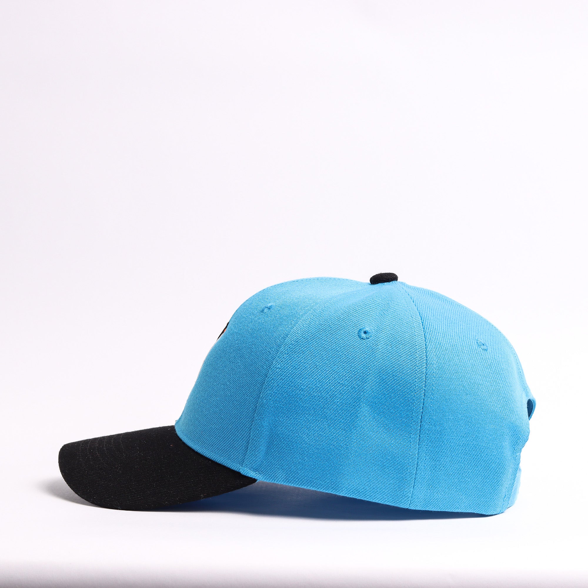 Sky Blue & Black Penguin Embroidered Cap