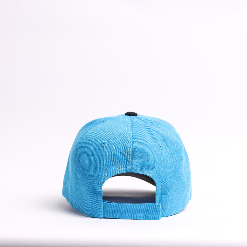Sky Blue & Black Penguin Embroidered Cap